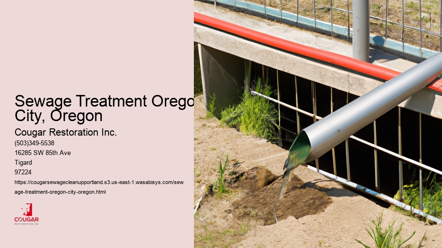 Sewage Treatment Oregon City, Oregon